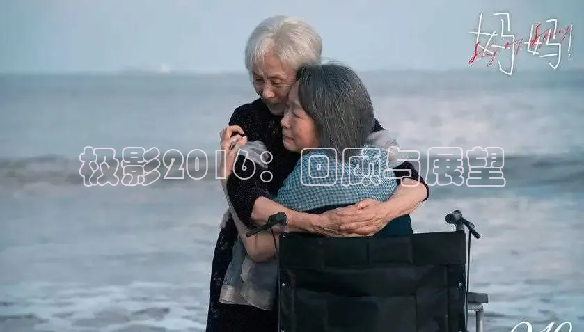 极影2016：回顾与展望